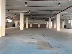 ELEMENT 14 (D19), Warehouse #576589541